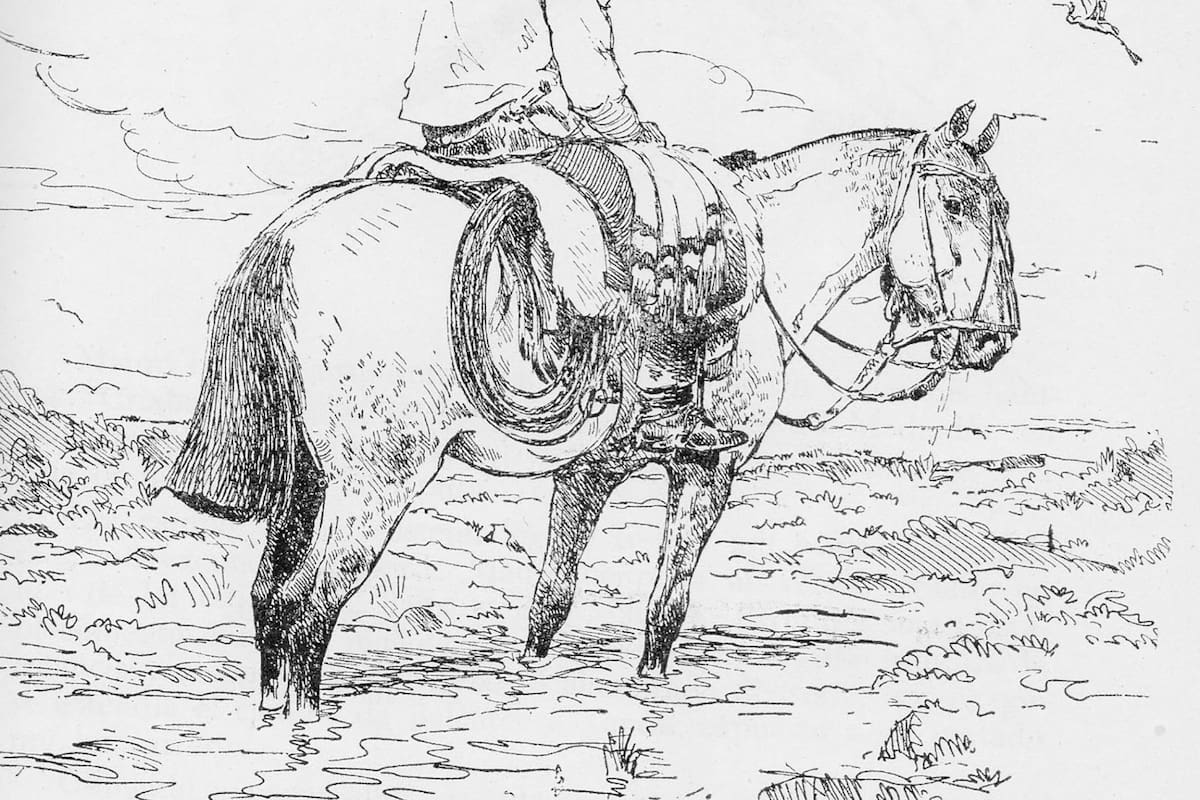 Ilustración para Cancha Larga