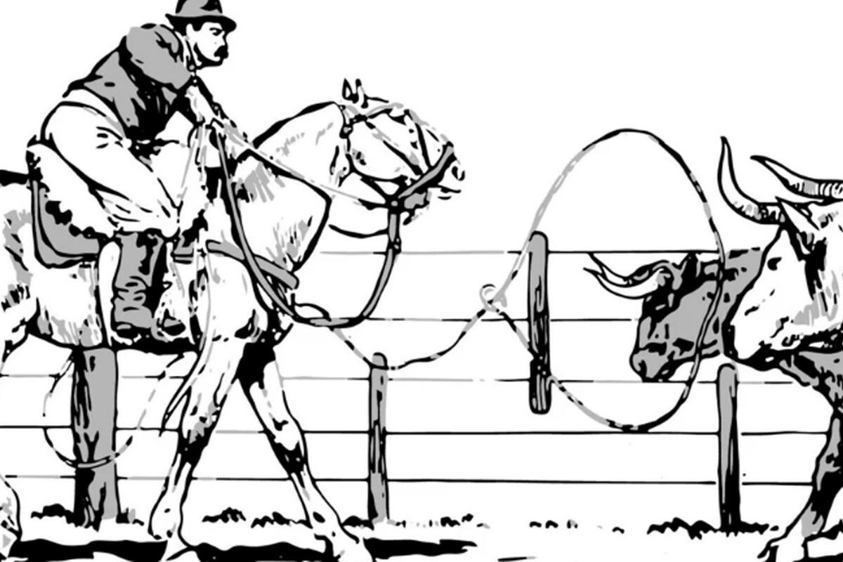 Ilustraciones de Enrique Rapela del libro Conozcamos lo nuestro