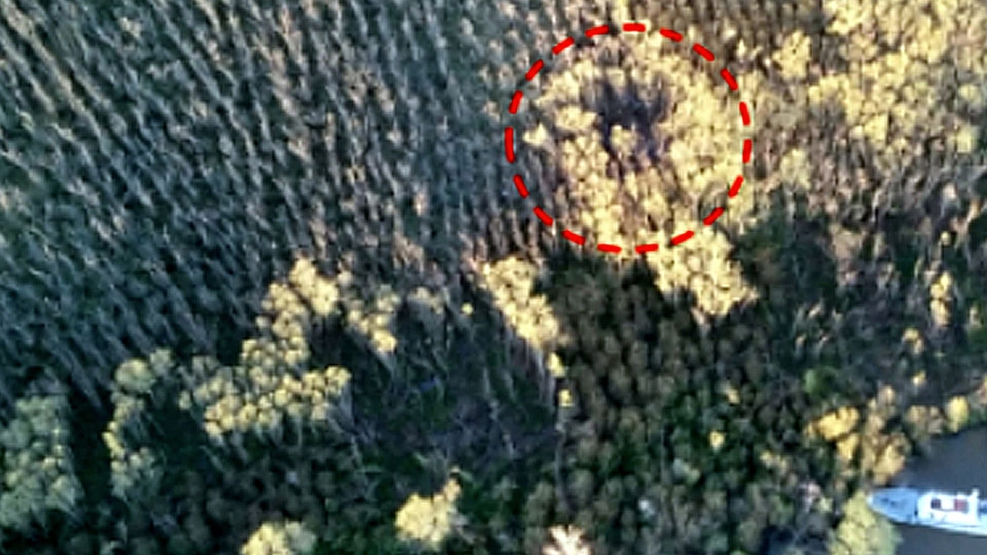 Imagen aérea de la zona de impacto del LV-MCV