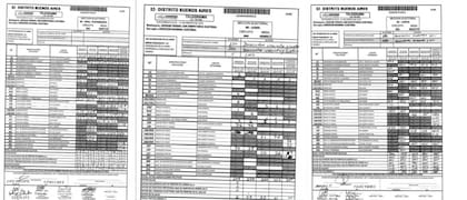 Imagen con ejemplos de los telegramas compartidos en redes sociales en 2019 con cero votos, tachados o borrados.