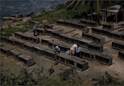 Imagen de 1938, cuando la primera colonia llegó desde India