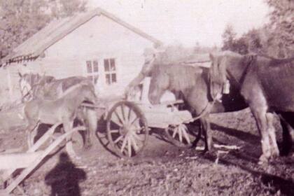 Imagen de la década de 1950 del lugar en Park Valley, Saskatchewan, donde vivieron los abuelos maternos de Jesse