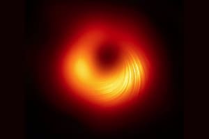 Imagen de la emisión polarizada del anillo en M87, relacionado con el campo magnético alrededor de la sombra del agujero negro