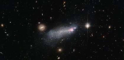 Imagen de la galaxia Wolf-Rayet con brotes estelares y una cantidad inusualmente alta de estrellas extremadamente calientes y masivas, conocidas como estrellas Wolf-Rayet (Foto: Gentileza NASA)