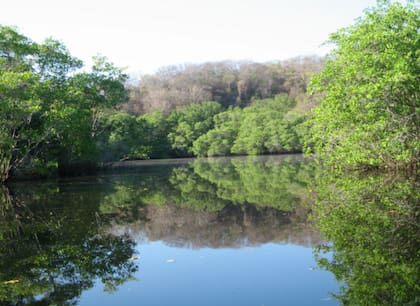 Imagen de la Laguna de Manialtepec, en Oaxaca, México, donde ocurrió el ataque del cocodrilo a las hermanas Laurie. Fuente: TripAdvisor.