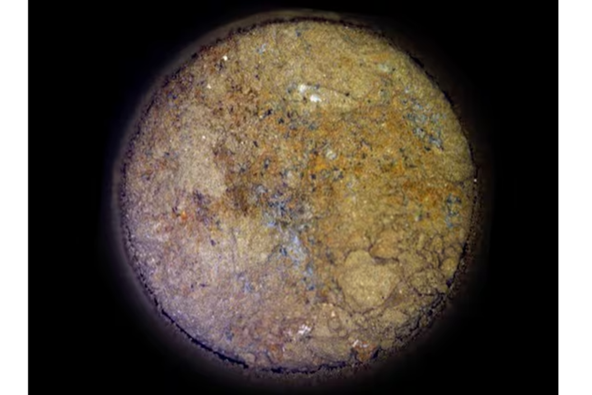 Imagen de la muestra con posibles rastros de vida recogida por el Perseverance en Marte