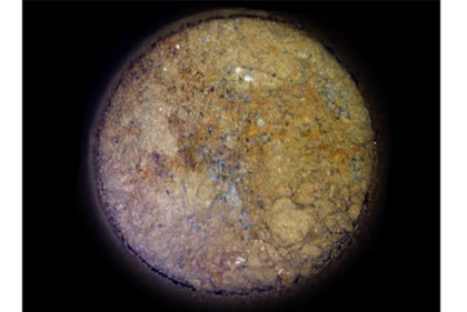 Imagen de la muestra con posibles rastros de vida recogida por el 'Perseverance' en Marte.