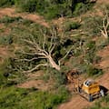 La naturaleza argentina necesita capital privado