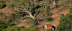 La naturaleza argentina necesita capital privado