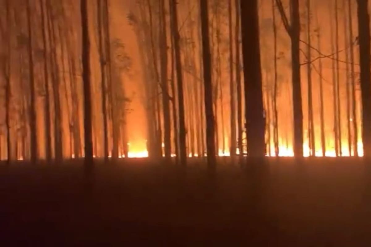 Imagen del incendio en Entre Ríos publicada por Juan Diego Etchevehere