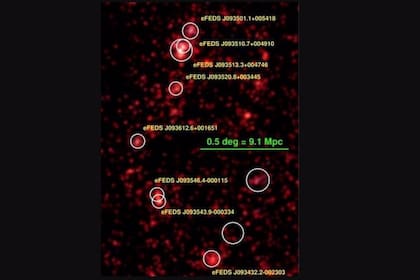 Imagen en color del mapa de densidad de galaxias con un corrimiento al rojo de 0,36 de Hyper Suprime-Cam (HSC) de eROSITA. Los círculos blancos marcan la ubicación de los ocho cúmulos de galaxias que forman el nuevo supercúmulo