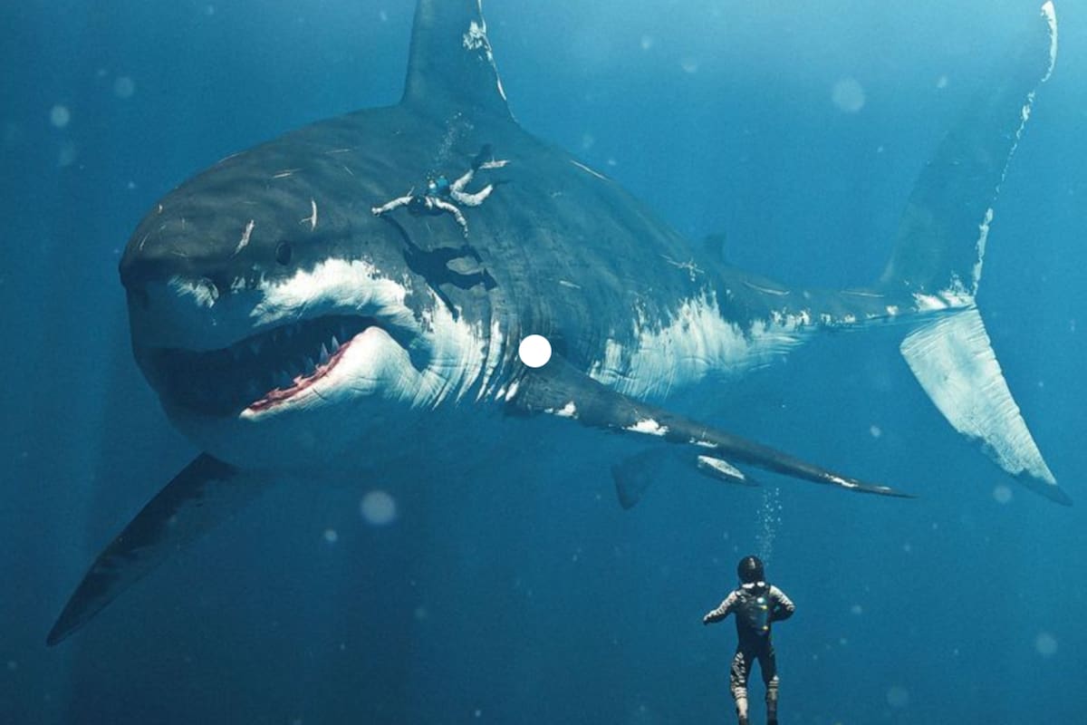 Imagen ilustrativa de cómo se vería un megalodón (Pinterest)