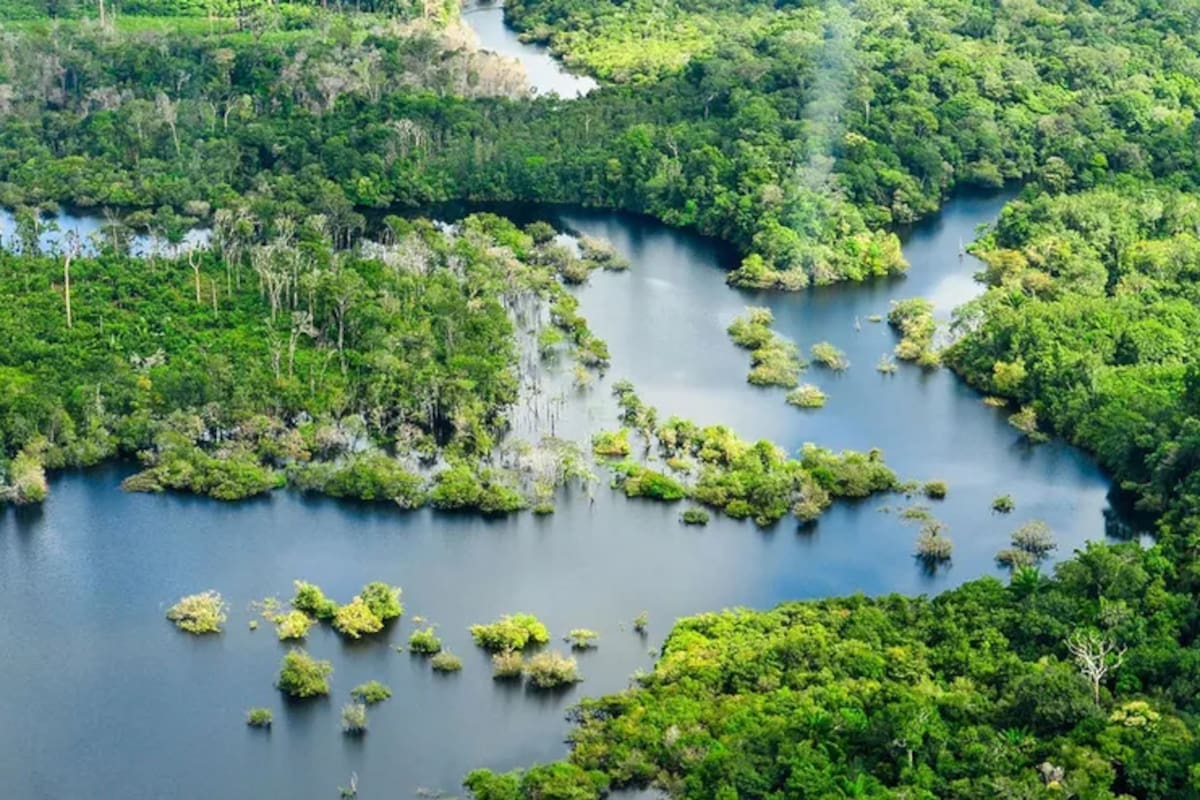 (Imagen ilustrativa) Según las publicaciones, la ciudad sería "más grande que el Gran Sao Paulo"