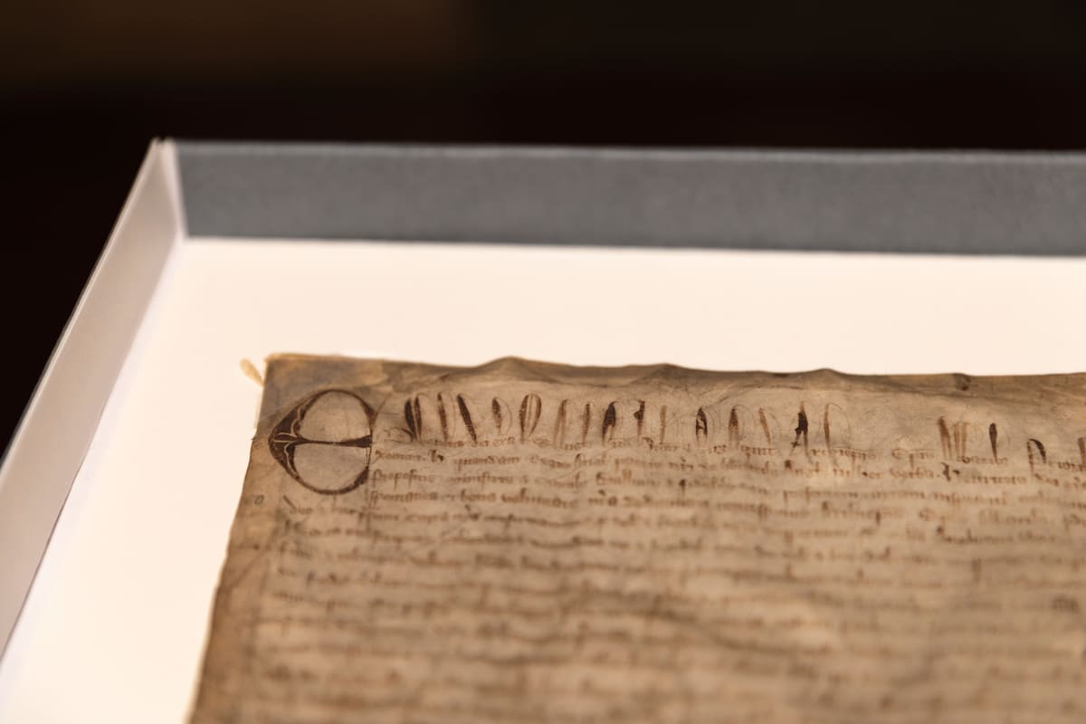 Imagen proporcionada por la Escuela de Derecho de Harvard que muestra un detalle de la copia rara de la Carta Magna de 1300