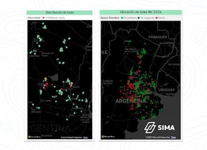 Imagen satelital sobre distribución de lotes y ubicación de los lotes con maíz