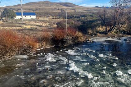Imagen sorprendente: se congeló la superficie de un río en Neuquén y decenas de truchas nadaron por debajo