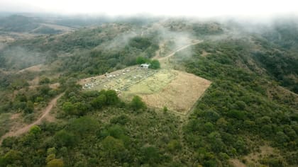 Imágenes aéreas tomadas con un dron de la zona de los hechos que reconstruye Nuestra tierra