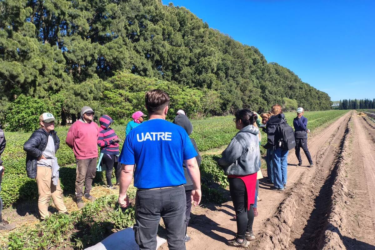 Imágenes de la inspección de la Uatre, el Ministerio de Trabajo bonaerense y el Renatre