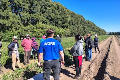 Imágenes de la inspección de la Uatre, el Ministerio de Trabajo bonaerense y el Renatre