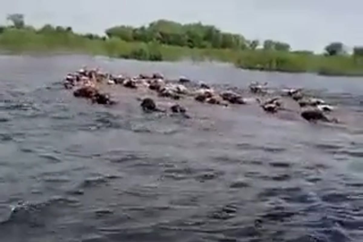 Imágenes de las inundaciones sobre zonas costeras del Paraná