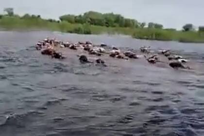 Imágenes de las inundaciones sobre zonas costeras del Paraná