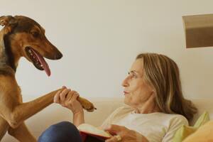 Imágenes del documental "En compañía", una película dirigida por Ada Frontini que aborda la relación entre humanos y perros
