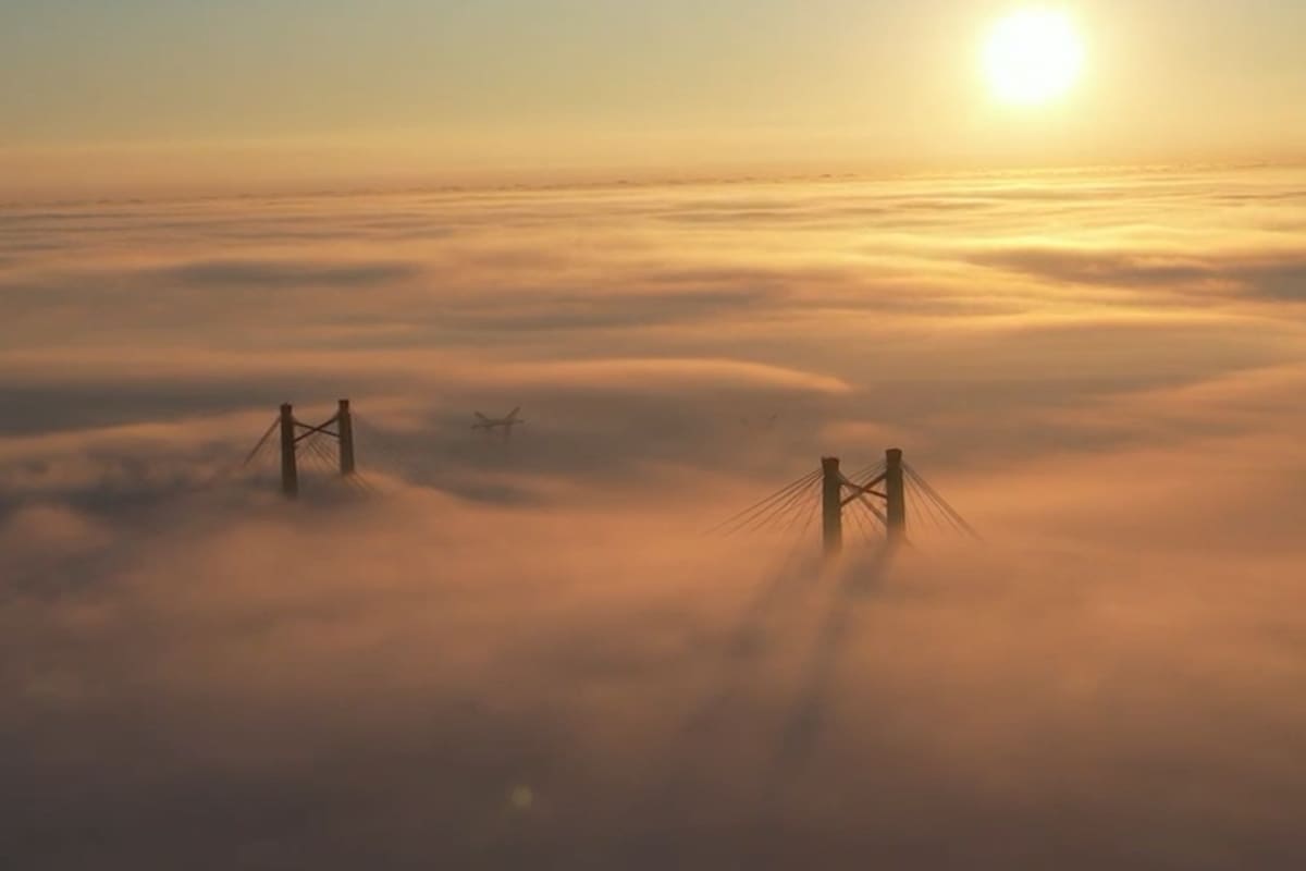 Aviso roxo por neblina: corte na ponte Zárate-Brazo Largo e voos suspensos