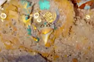Imágenes del "impresionante" collar con un diente de Megalodón encontrado por la firma Megallan en el Titanic
