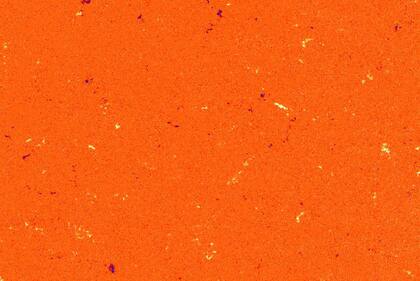 Un magnetograma del Sol tomado con el Telescopio de alta resolución de imágenes polarimétricas y heliosísmicas (PHI) en la nave espacial Solar Orbiter de la NASA