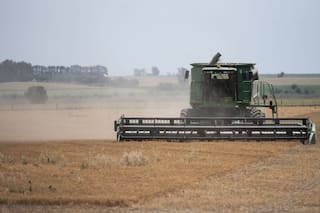 Alerta en multinacionales del campo por otra restricción con los dólares