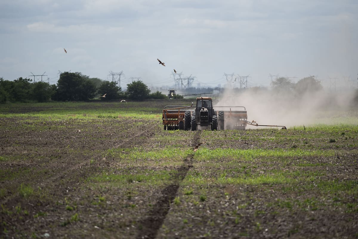 Imagenes para archivo de campo y economia
Siembra de soja zona de Arminda, santa fe
10-11-20
Foto: Marcelo Manera