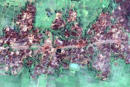 Imágenes satelitales de Myanmar mostraron la destrucción de pueblos habitados por los rohingya.