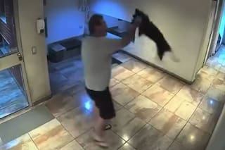 Cuidaba a un perro ajeno, salió a buscarlo al hall del edificio y lo revoleó contra el suelo: quedó grabado