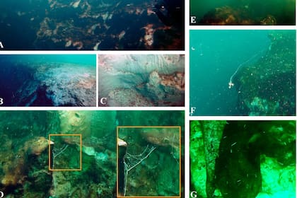 Imágenes submarinas que muestran el segundo agujero azul más profundo del mundo