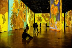 Imagine Van Gogh: una experiencia inmersiva para todas las edades