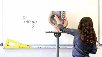 Imitar la placenta que rodea a los bebés al interior del útero podría evitar daños a sus pulmones en desarrollo