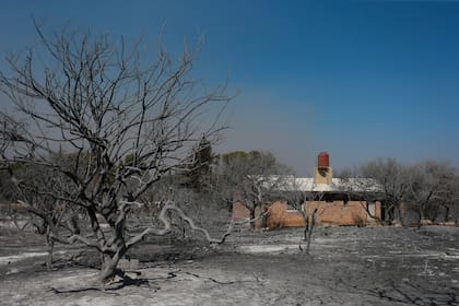 Unas 250 dotaciones de bomberos trabajaron para contener el fuego