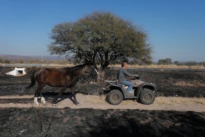 Los habitantes de la zona trasladan a sus animales para evitar que sean alcanzados por el fuego, la fauna de la zona se vio muy afectada por el incendio