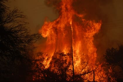 Córdoba perdió 770.000 hectáreas en 20 años por incendios recurrentes.