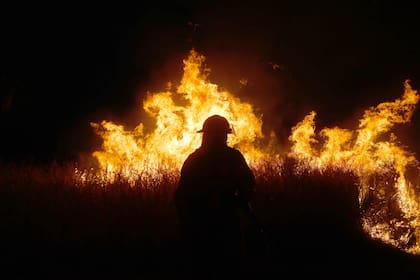 El incendio es muy grande y se prioriza la vida de las personas, los animales y los bienes materiales