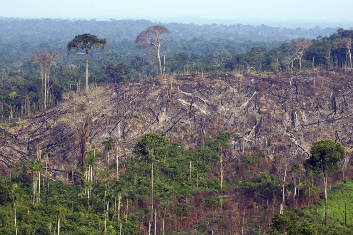 Impactantes imágenes del avance de la deforestación en el Amazonas
