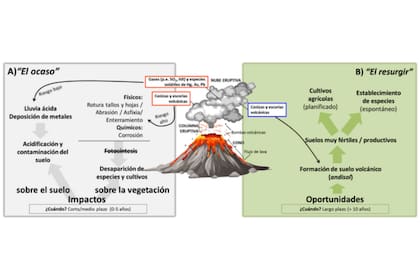Impactos de la erupción del volcán sobre la vegetación en la zona de influencia y (B) oportunidades que surgirán a largo plazo en los terrenos afectados