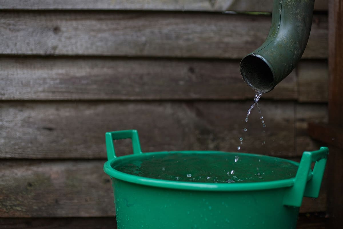 Impedir que se acumule el agua estancada ayuda a que las hembras del mosquito Aedes aegypti no pongan sus huevos y se reproduzcan.