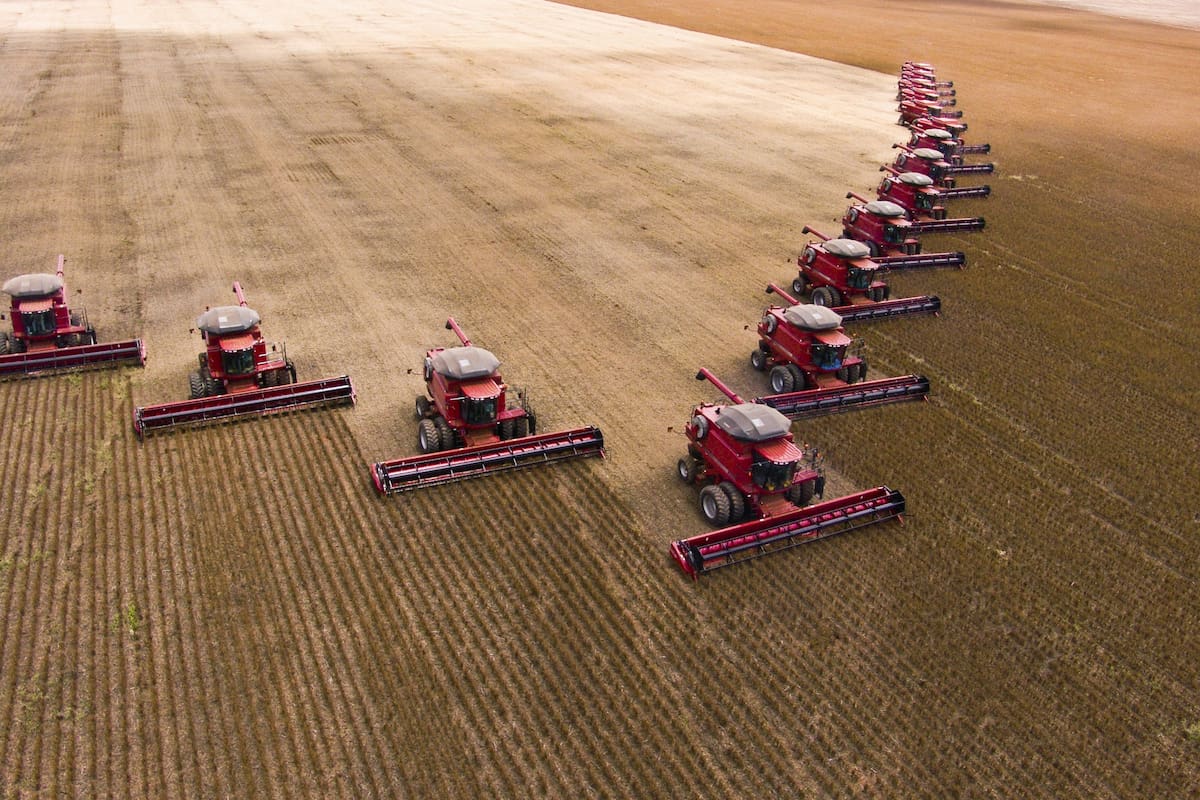 Importa el 92% de los fertilizantes que utiliza para el campo
