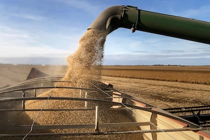 Importaciones de soja de la UE en 2025/26 caen 13% al 8 de febrero
