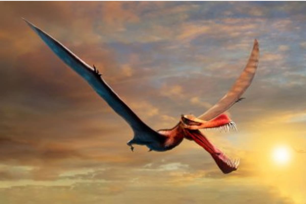 Impresión artística de Thapunngaka shawi