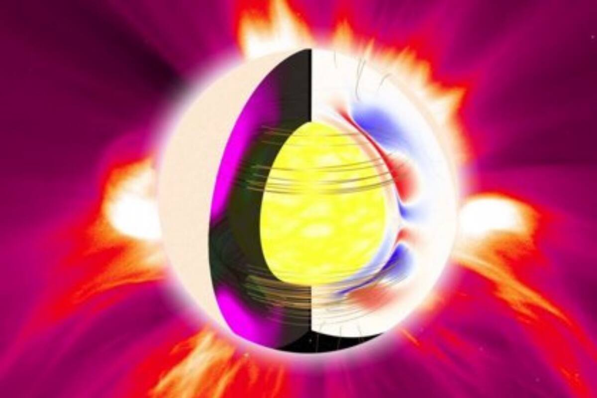 Impresión artística del interior giratorio de una estrella, que genera el campo magnético estelar