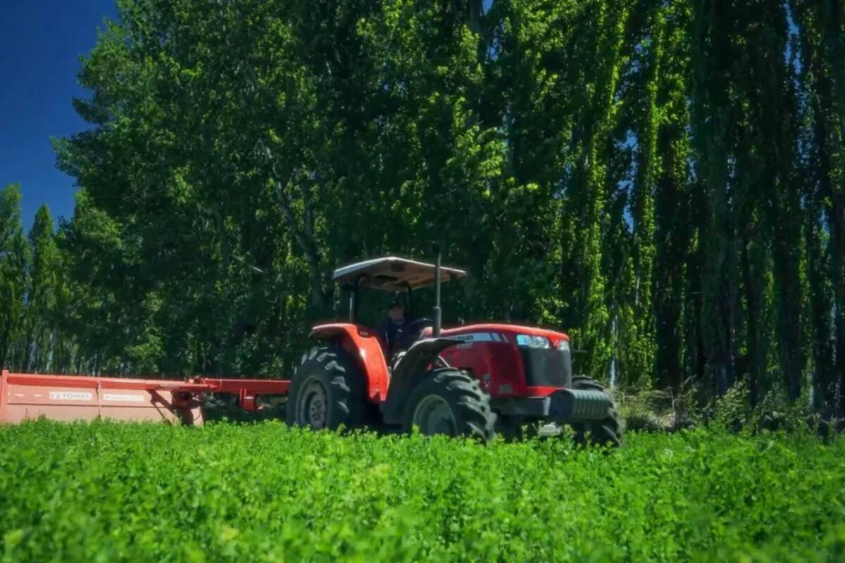 Impulsan en Neuquén un régimen provincial de protección sobre las tierras rurales.