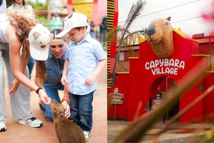 Inauguran Capybara Village en Baja California, donde se puede interactuar con estos animales