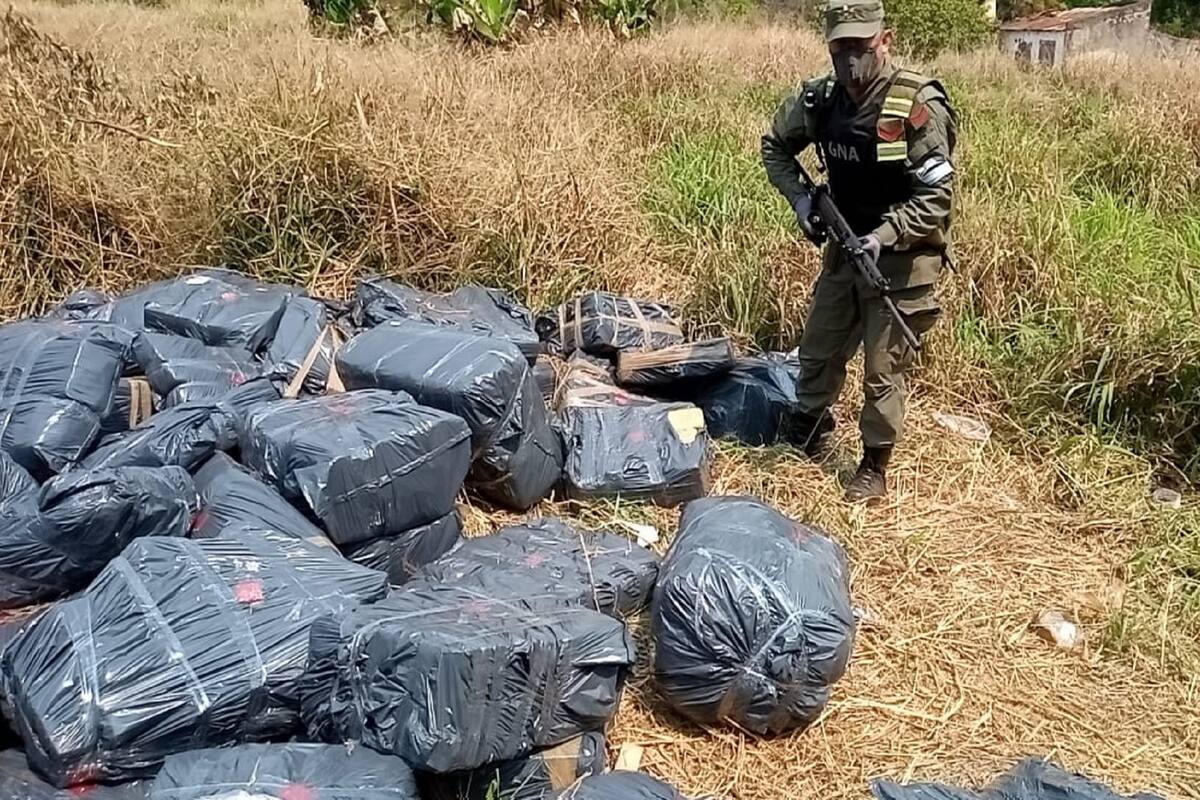 Incautan tres toneladas de marihuana en Eldorado, Misiones